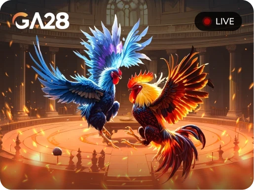 TIP88 Đá Gà Livestream