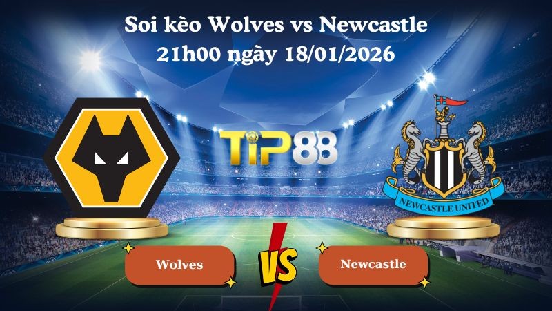 TIP88 Nhận định soi kèo Wolves vs Newcastle 21h00 ngày 18/01/2026 - Ngoại Hạng Anh