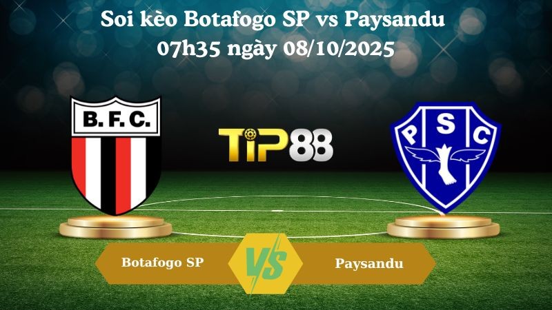 TIP88 Nhận định soi kèo Botafogo SP vs Paysandu 07h35 ngày 08/10/2025 - Hạng 2 Brazil