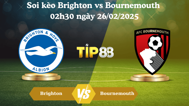 TIP88 Nhận định soi kèo Brighton vs Bournemouth 02h30 ngày 26/02/2025 - Ngoại Hạng Anh