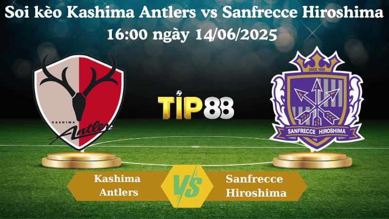 TIP88 Nhận định soi kèo Kashima Antlers vs Sanfrecce Hiroshima 16:00 ngày 14/06/2025 - VĐQG Nhật Bản