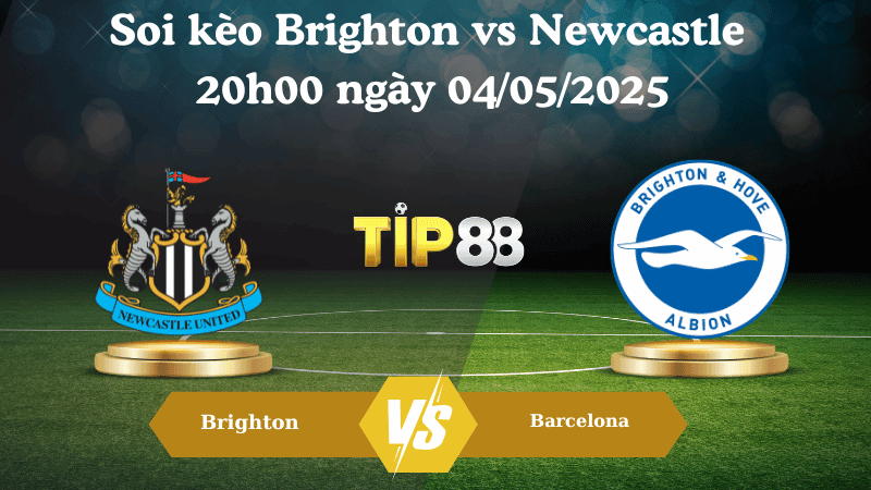 TIP88 Nhận định soi kèo Brighton vs Newcastle 20h00 ngày 04/05/2025 - Ngoại hạng Anh