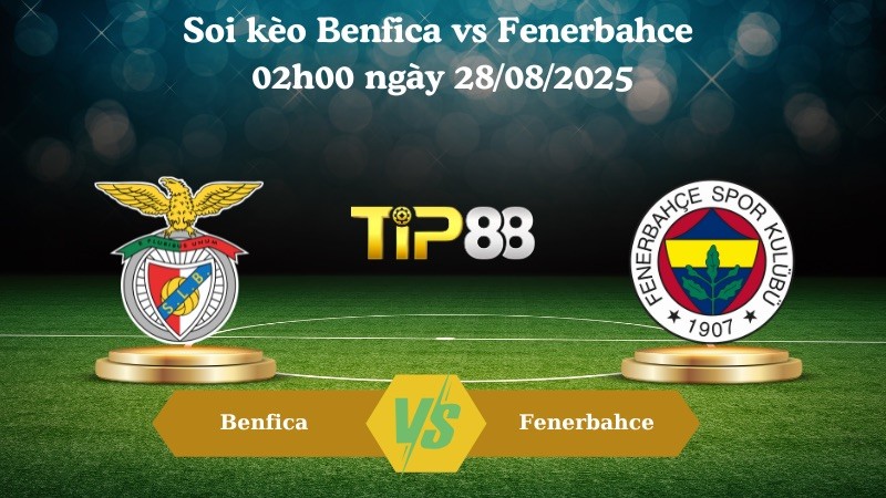 TIP88 Nhận định soi kèo Benfica vs Fenerbahce 02h00 ngày 28/08/2025 - Vòng loại Champions League