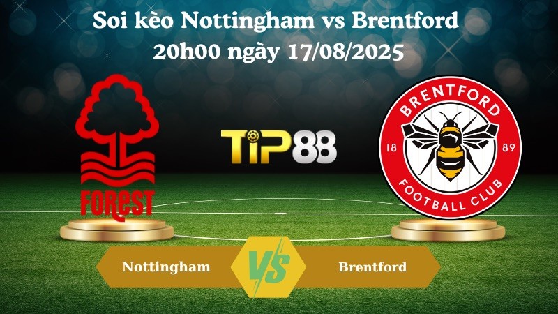 TIP88 Nhận định soi kèo Nottingham vs Brentford 20h00 ngày 17/08/2025 - Ngoại hạng Anh