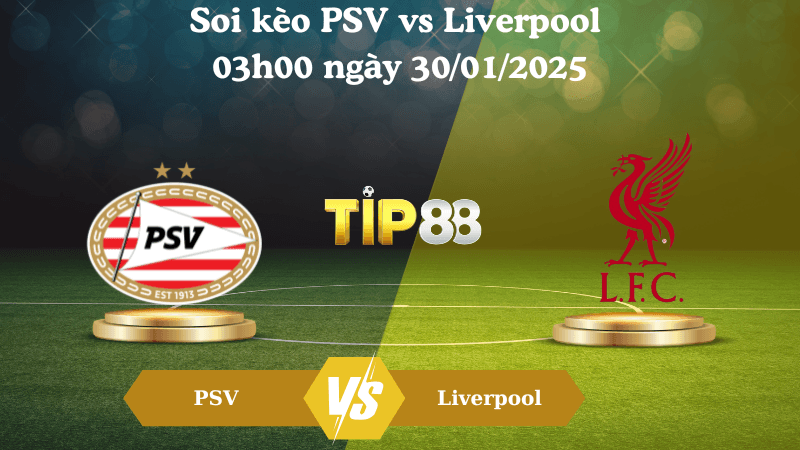 TIP88 Nhận định soi kèo PSV vs Liverpool 03h00 ngày 30/01/2025 - Champions League