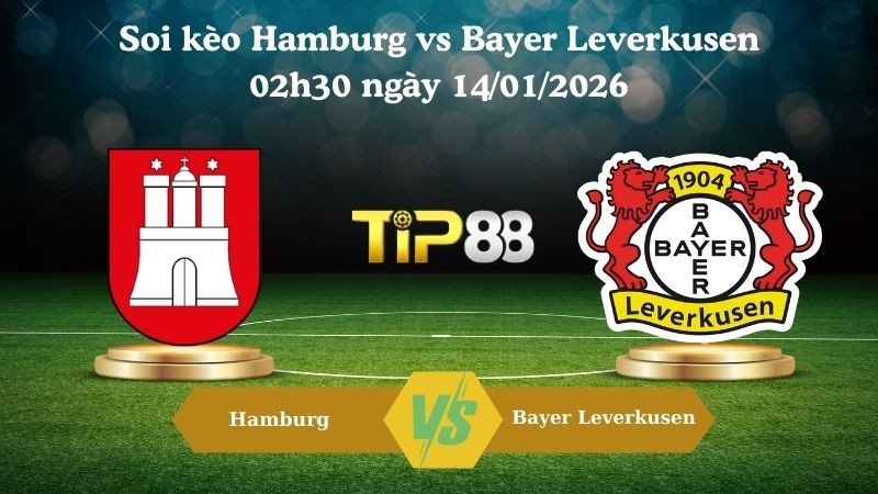 TIP88 Nhận định soi kèo Hamburg vs Bayer Leverkusen 02h30 ngày 14/01/2026 - Bundesliga